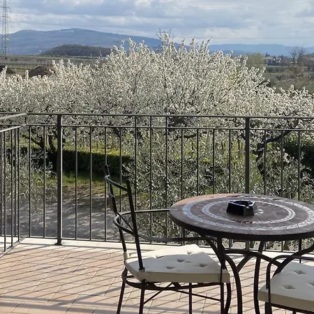 Arizona ベッド・アンド・ブレックファスト